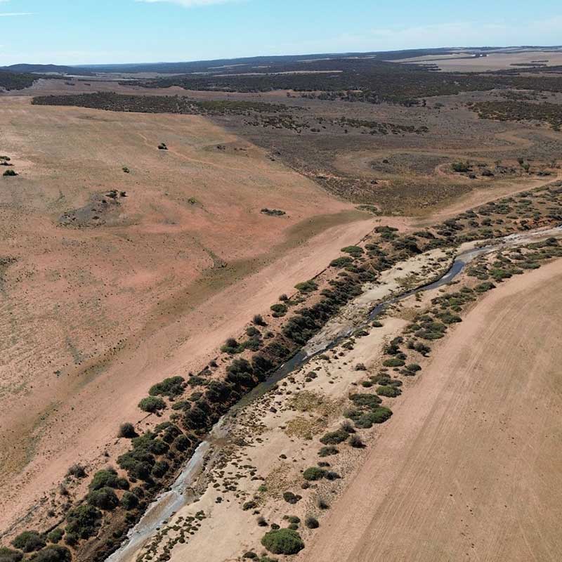 Environmental consultant Adelaide & SA – RSW Environmental 