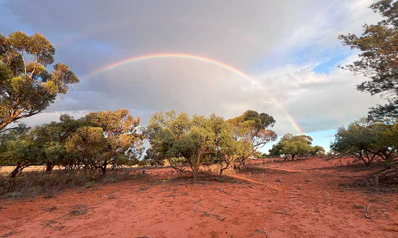 RSW Environmental Services Adelaide