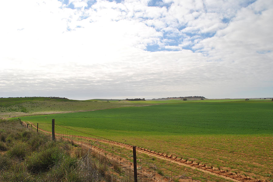 RSW Environmental Services Adelaide 
