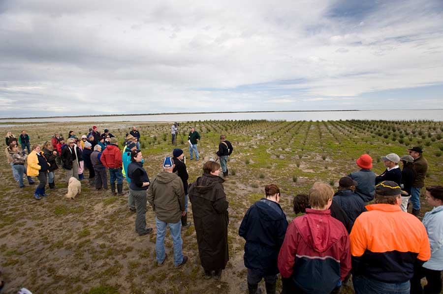 Environmental consultant Adelaide & SA – RSW Environmental 