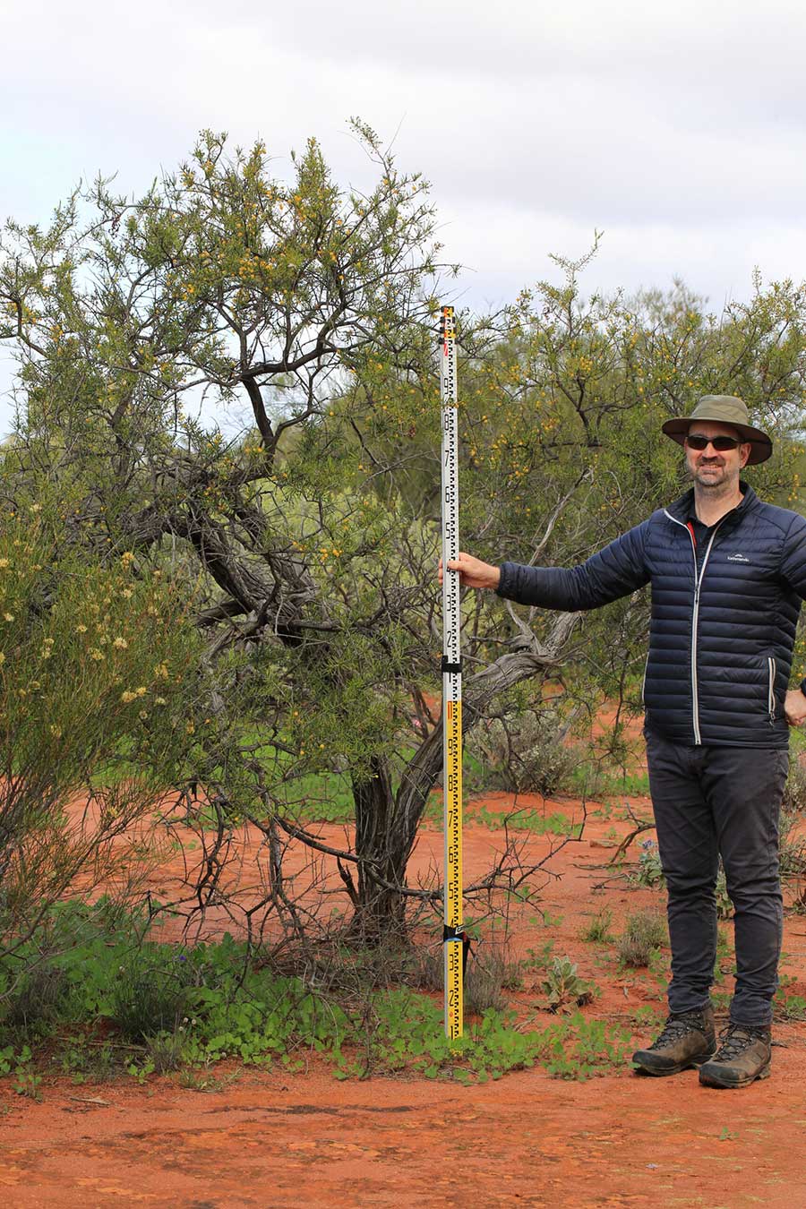 Environmental consultant Adelaide & SA – RSW Environmental 