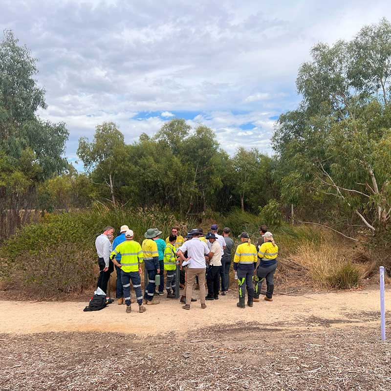 Environmental consultant Adelaide & SA – RSW Environmental 