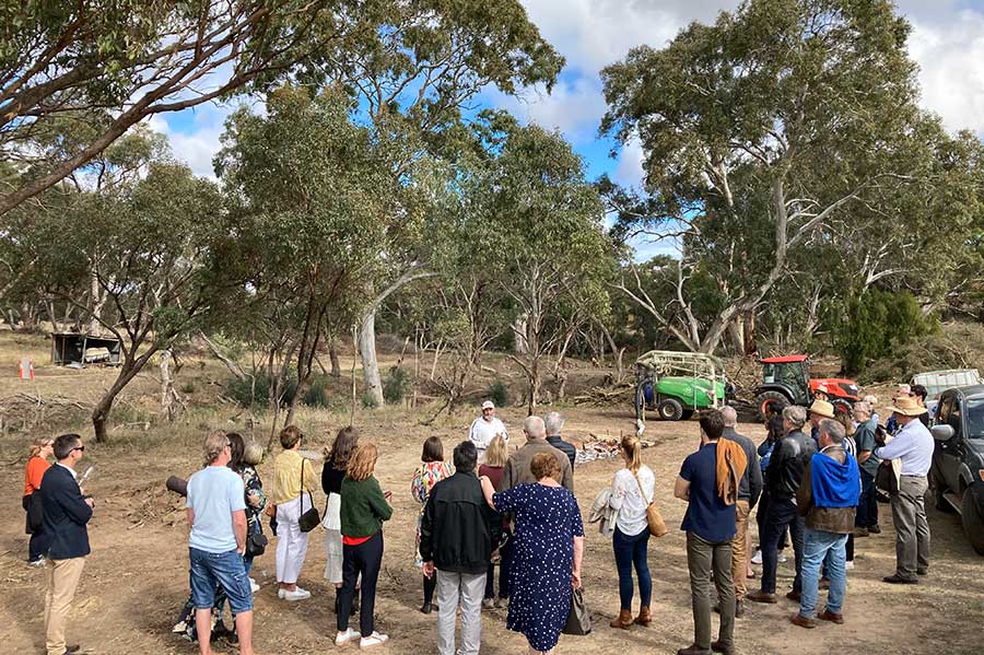 Environmental consultant Adelaide & SA – RSW Environmental 