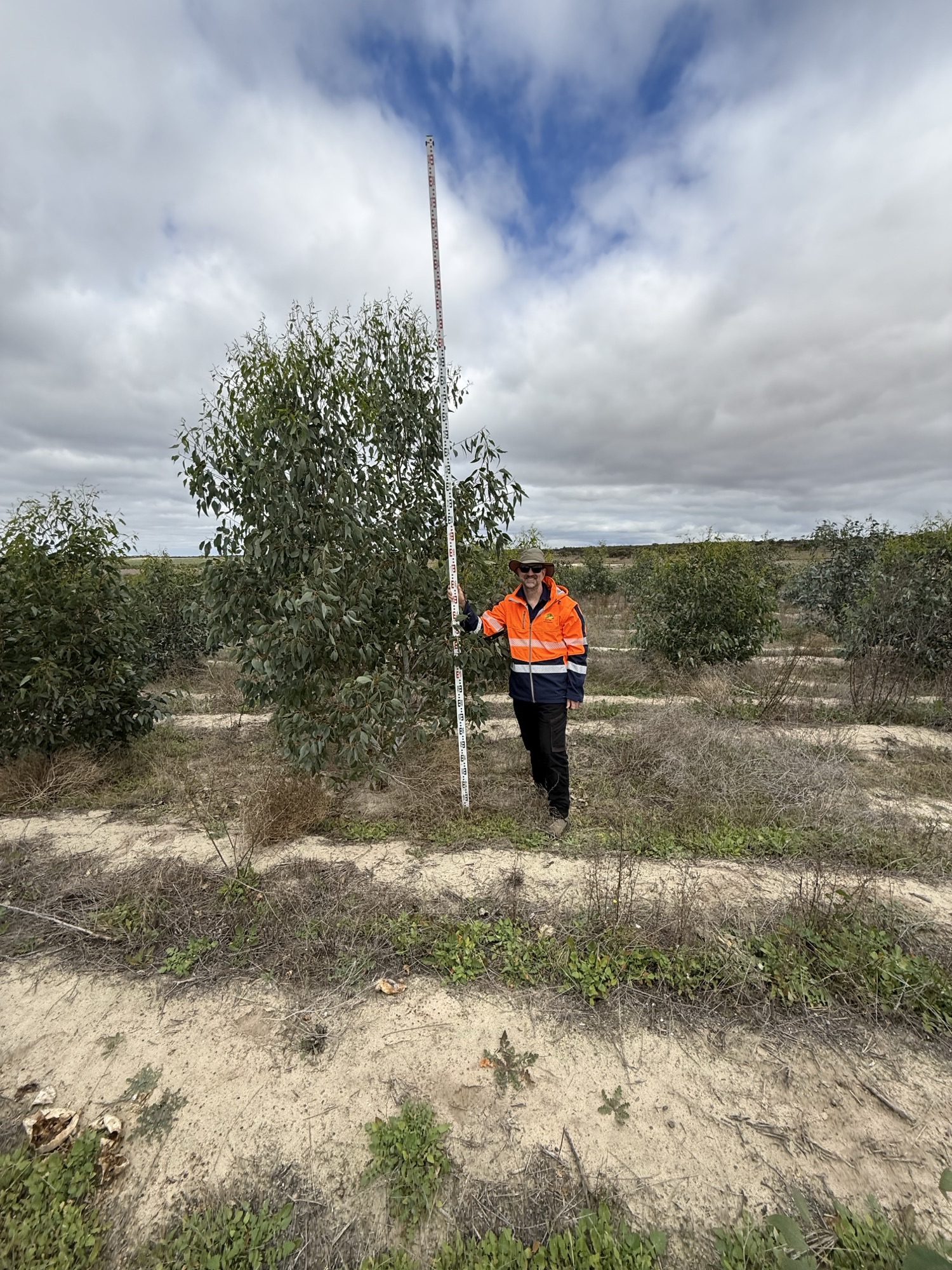 Environmental consultant Adelaide & SA – RSW Environmental 
